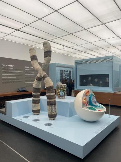 Vánoční Drážďany