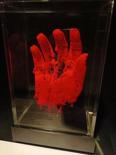 Exkurze výstavy Lidské tělo 1.VČ