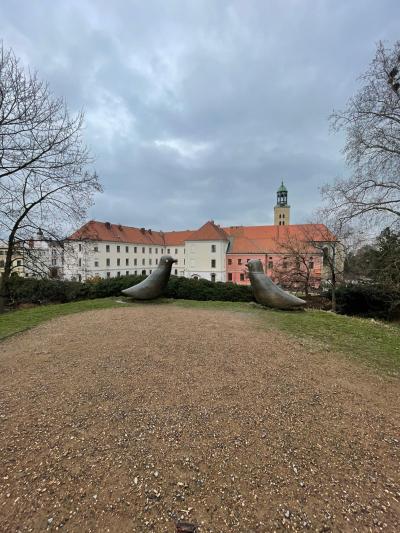 Odborná stáž v Opavě